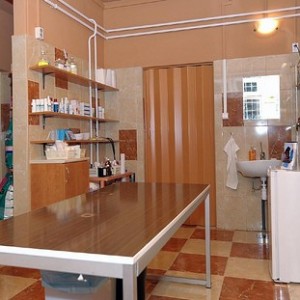 Rólunk